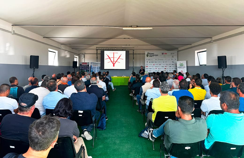 ambiente can olivo campo 01