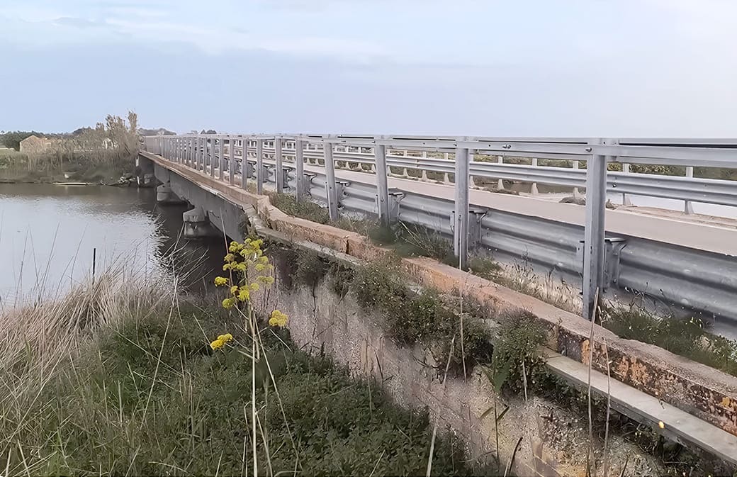 cronaca zap foce aloisa 01