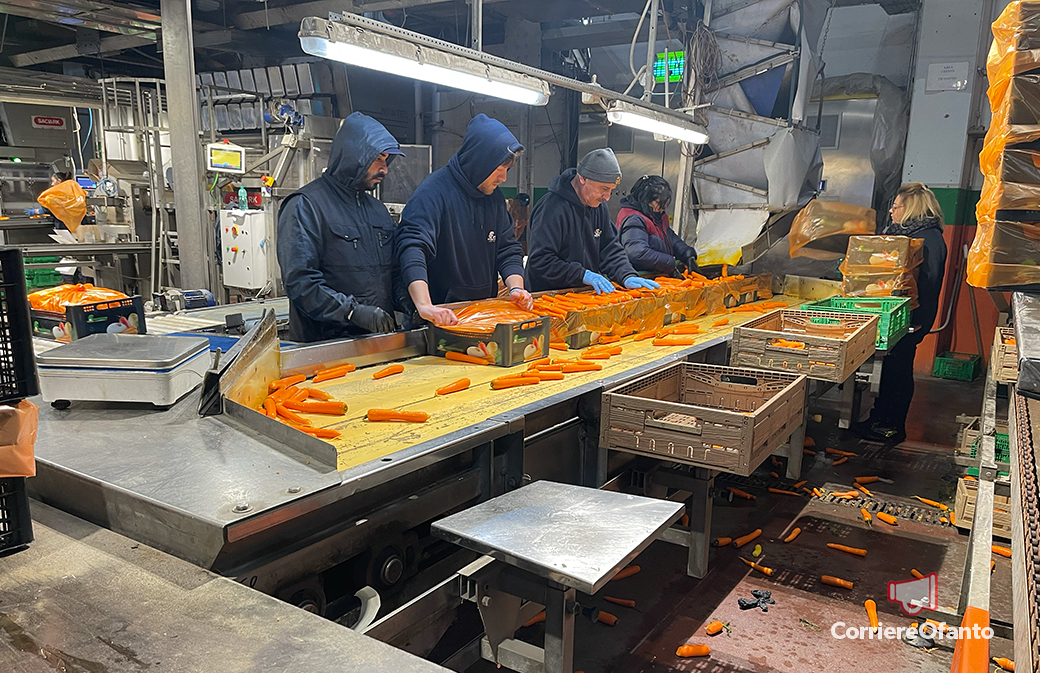 frontino ortofrutticoli 04