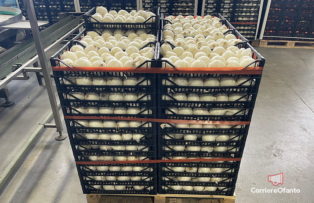 frontino ortofrutticoli 06