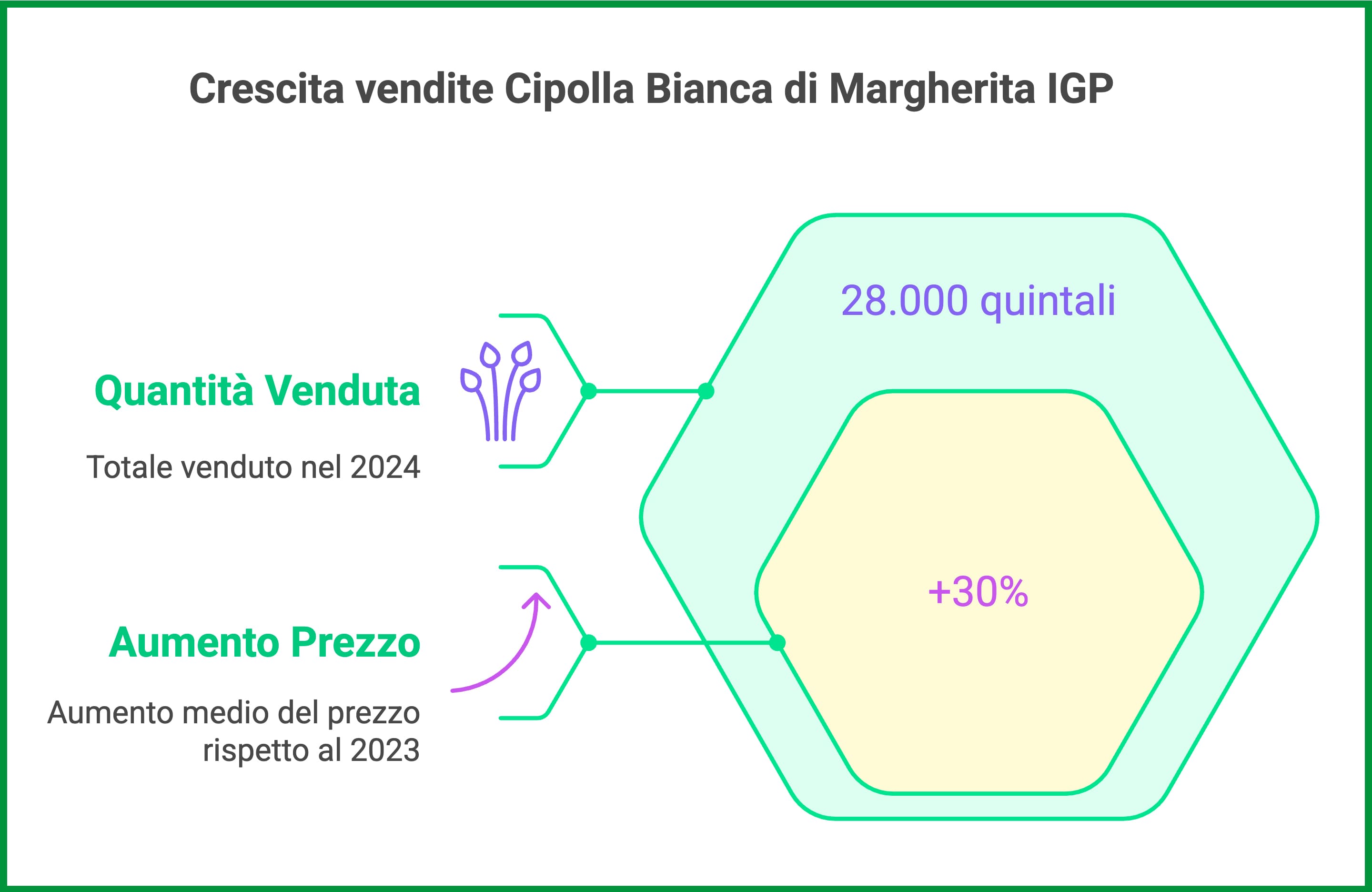 vendita cipolle