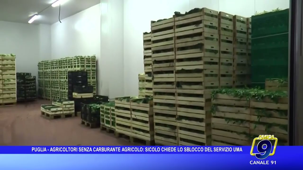 Puglia, agricoltori senza carburante agricolo: Sicolo (CIA) chiede lo sblocco del servizio UMA