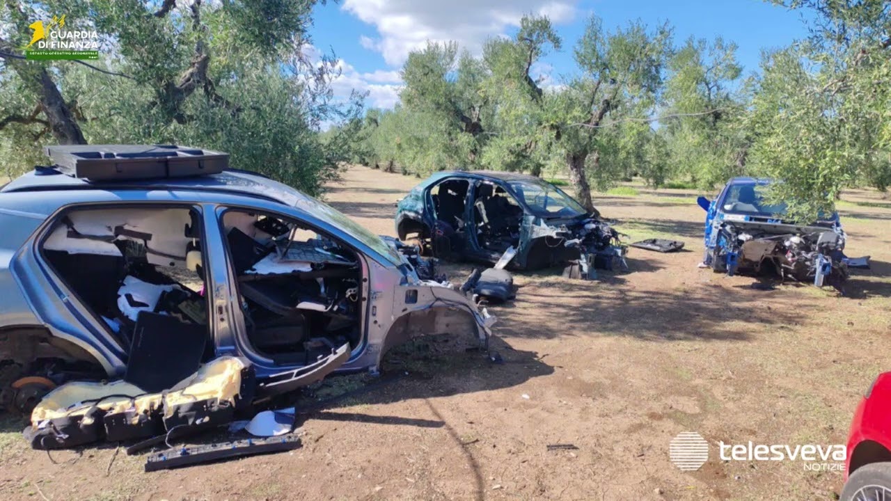 Nelle campagne tra Andria, Trani, Canosa e Corato scoperte 14 auto rubate
