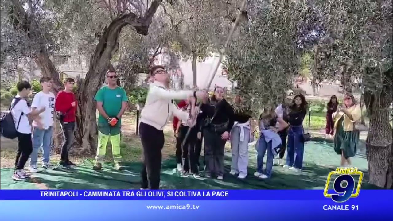 “Camminata tra gli Olivi” a Trinitapoli: un percorso tra natura, tradizione e pace