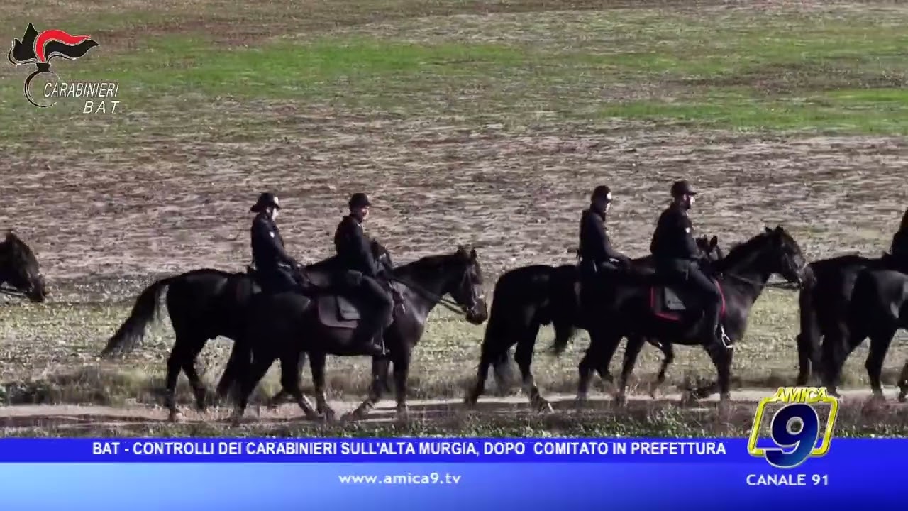 Controlli straordinari dei Carabinieri nelle aree rurali della provincia BAT