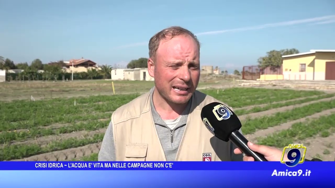 Crisi idrica, l’imprenditore agricolo Piazzolla: «L’acqua è vita, ma nelle campagne manca»