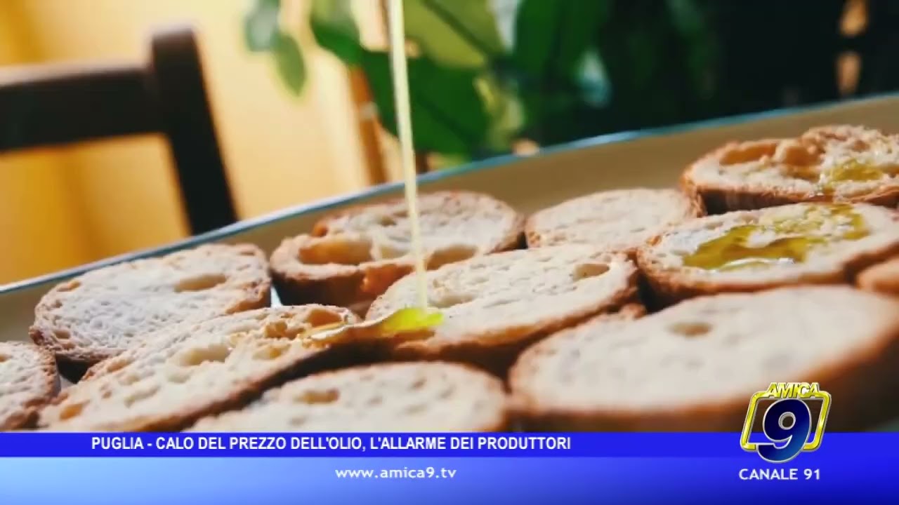 Cala il prezzo dell’olio: l’allarme dei produttori pugliesi