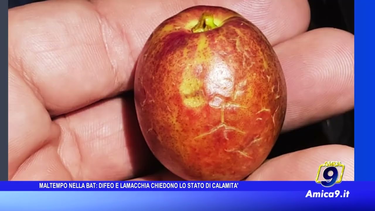 I sindaci Di Feo e Lamacchia chiedono il riconoscimento dello stato di calamità