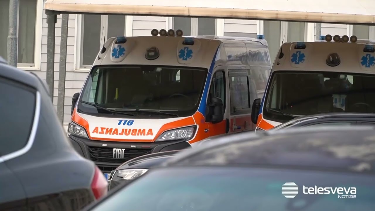 Allarme “West Nile” nella BAT: due casi a Margherita di Savoia e Bisceglie